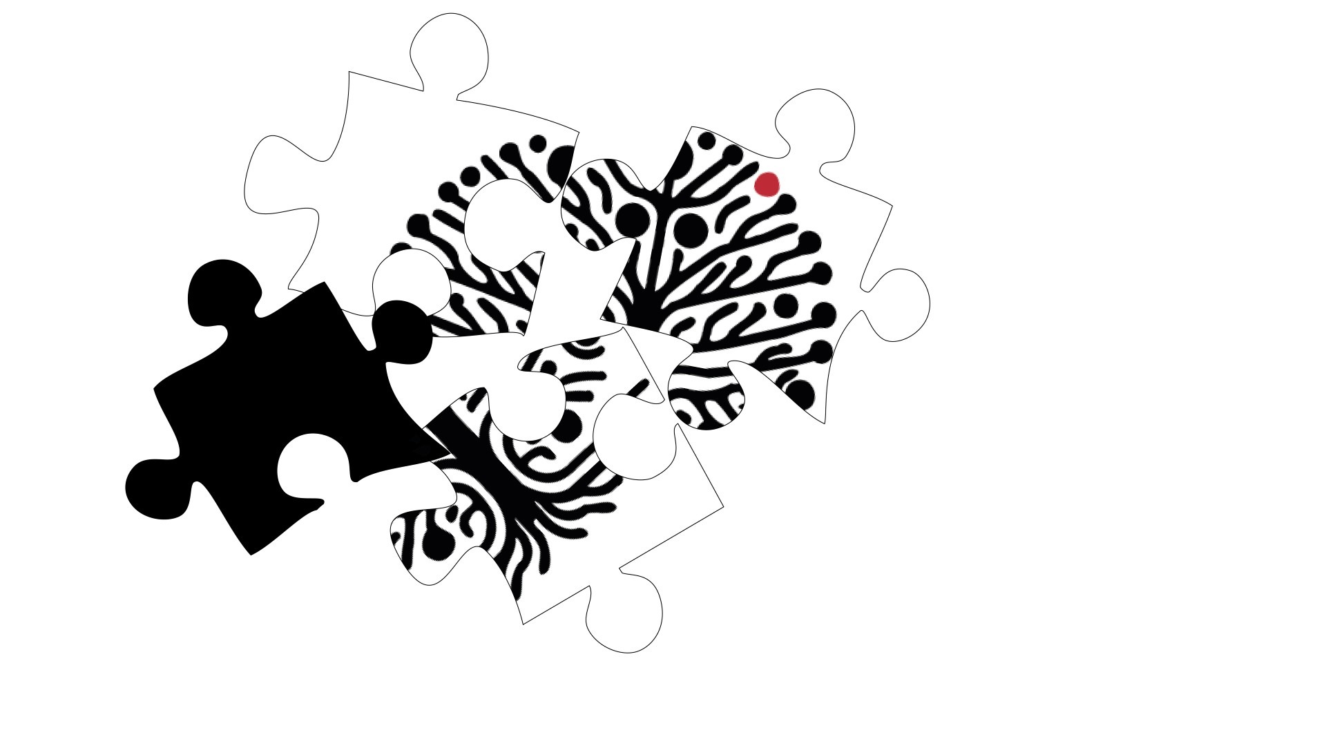 Image of an interdisciplinary jigsaw puzzle