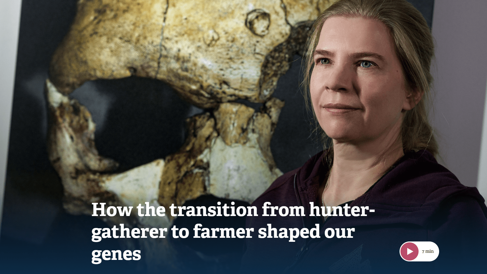 Carina Schlebusch’s current research—in a nutshell