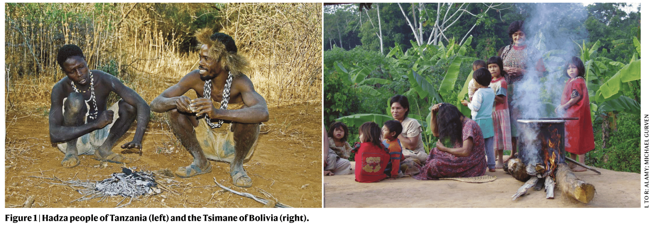 Gut microbes that trace ancient human journeys